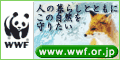 �v�v�e�i���E���R�ی����j�́A��100�J���Ŋ������鐢�E�ő�̎��R�ی�m�f�n�i�񐭕{�g�D�j�ł��B�l�Ǝ��R�Ƃ̋������߂����āA���Ԍn�̕ۑS����n�����g���h�~�܂ŕ��L���A���E�̎��R����銈���Ɏ��g��ł��܂��B�v�v�e�̊����͂��ׂāA��ʂ̕��X����̉��₲��t�ɂ���Ďx�����Ă��܂��B