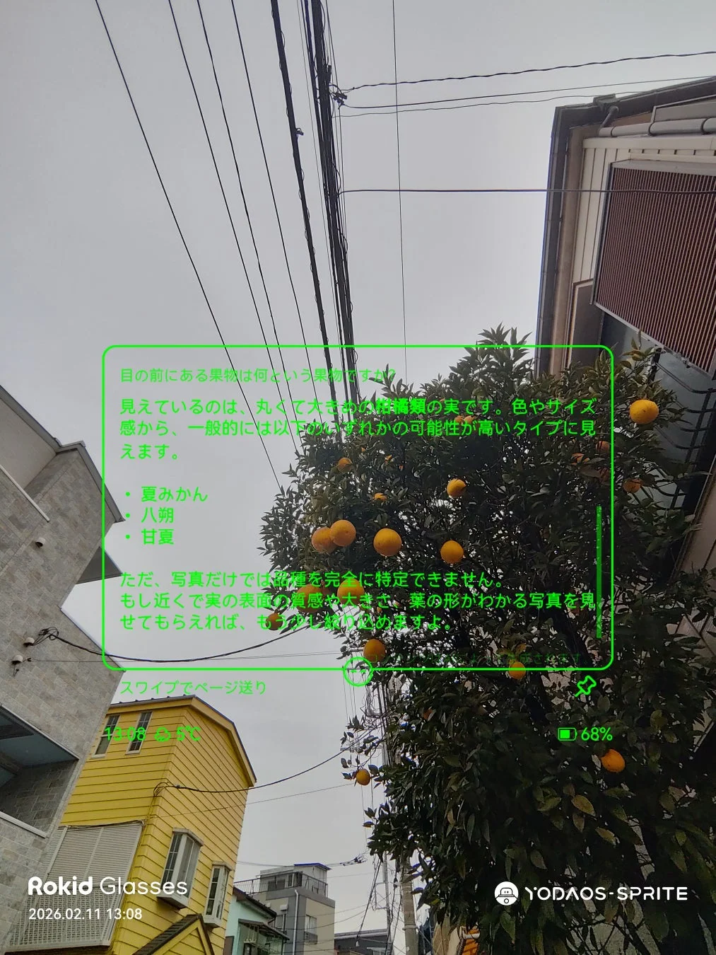 柑橘類のAR情報表示