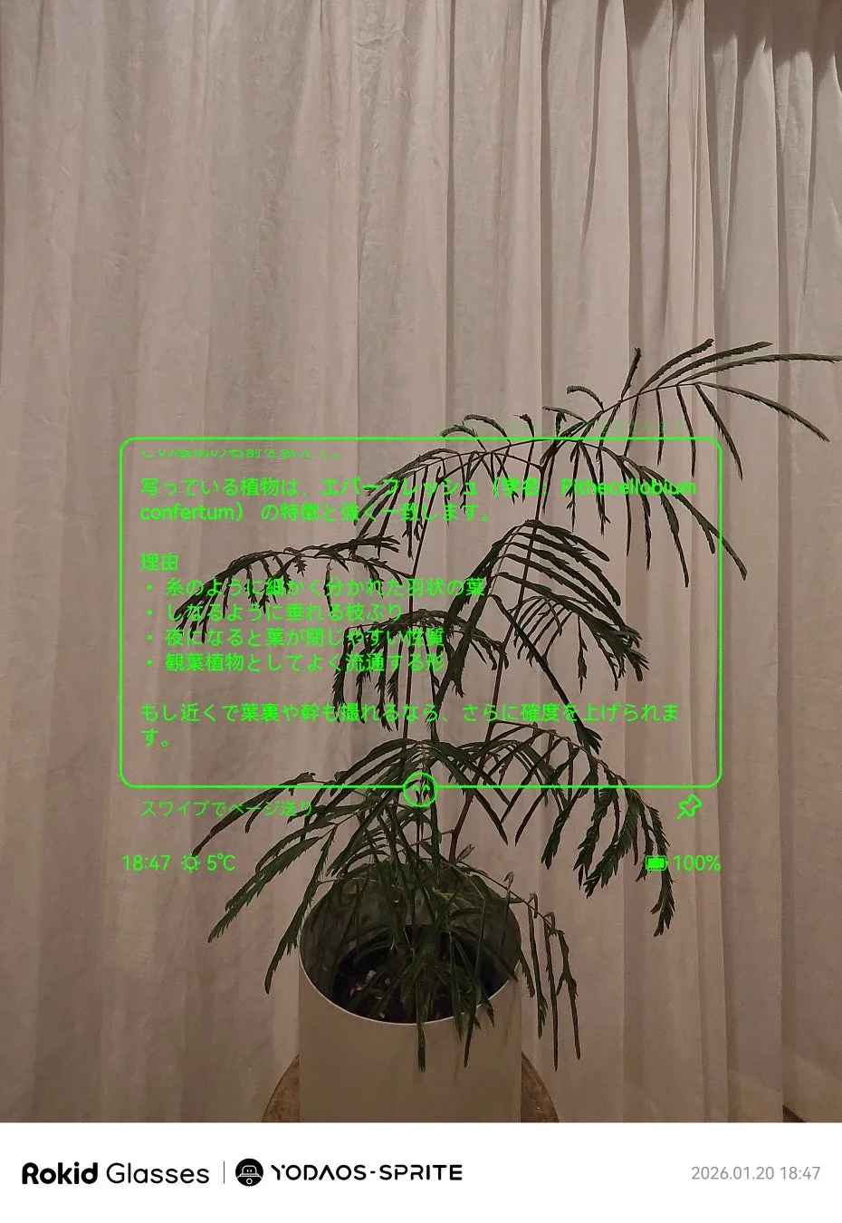 エバーフレッシュのAR情報表示