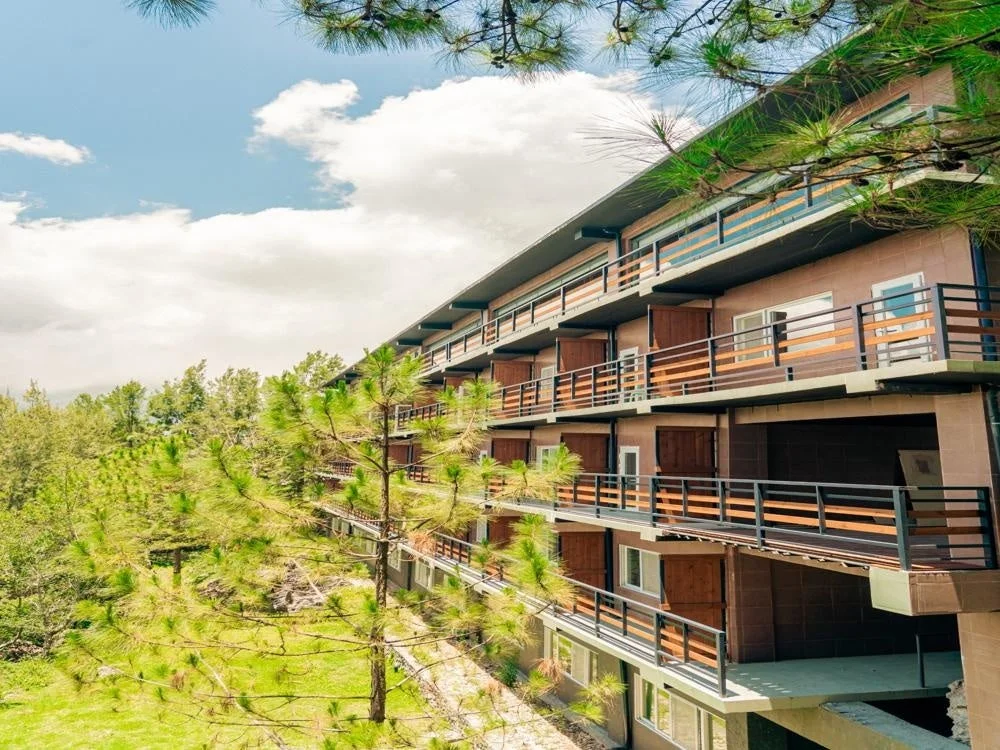 青空と白い雲の下、多くの松の木に囲まれた多層階の建物