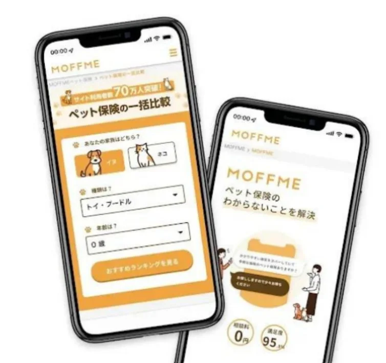 金融事業者向けコンサルティング事業のイメージ