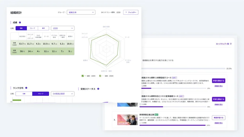 DXリテラシーに関する組織統計とeラーニングコース