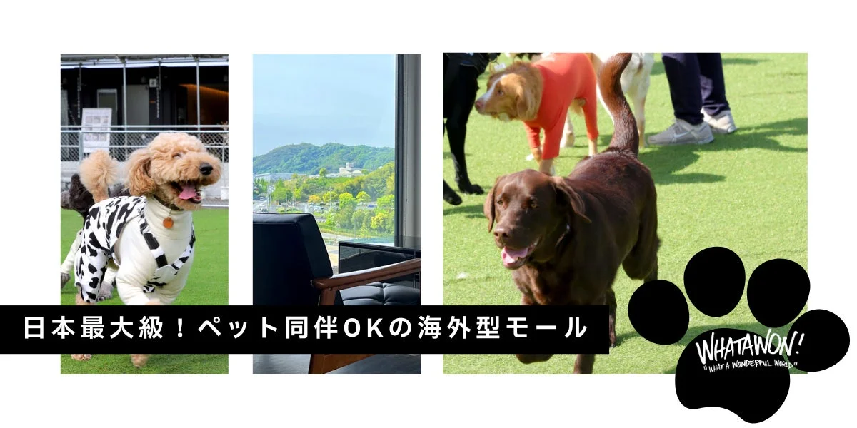 日本最大級！ペット同伴OKの海外型モール WHATAWON!