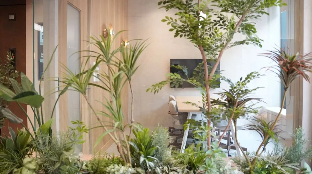 観葉植物が豊富なモダンなオフィス空間