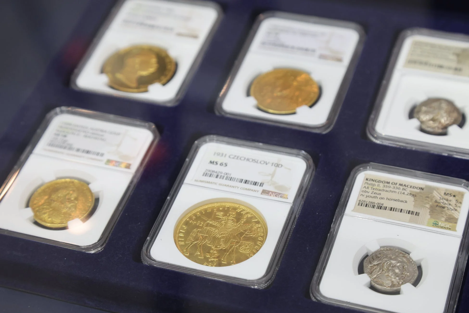 鑑定済みの金貨や銀貨の展示