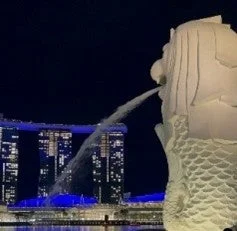 研修のスケジュールイメージ