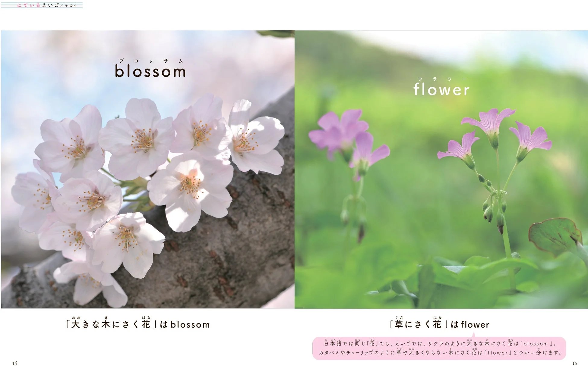 blossomとflowerの使い分け