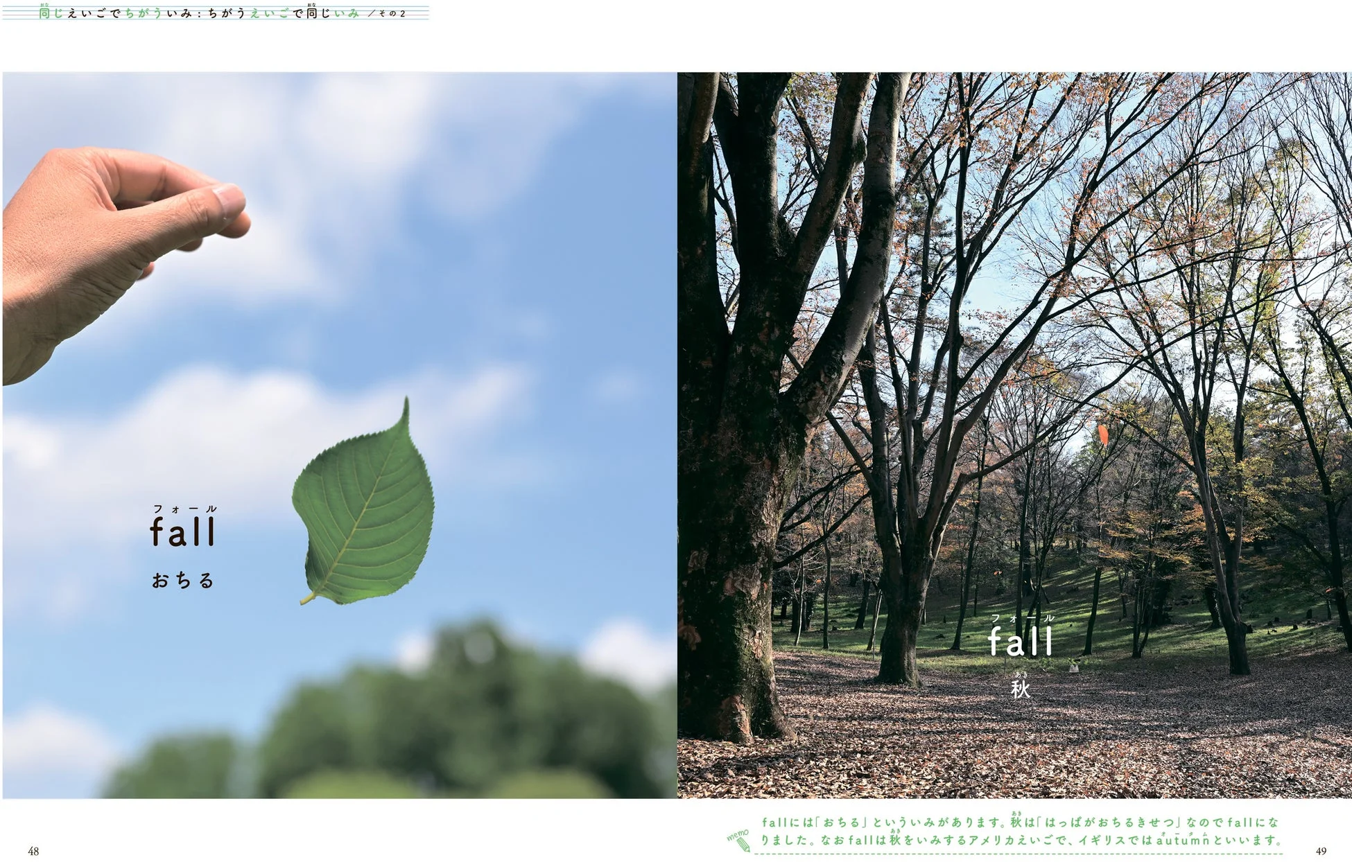 fallの多義語