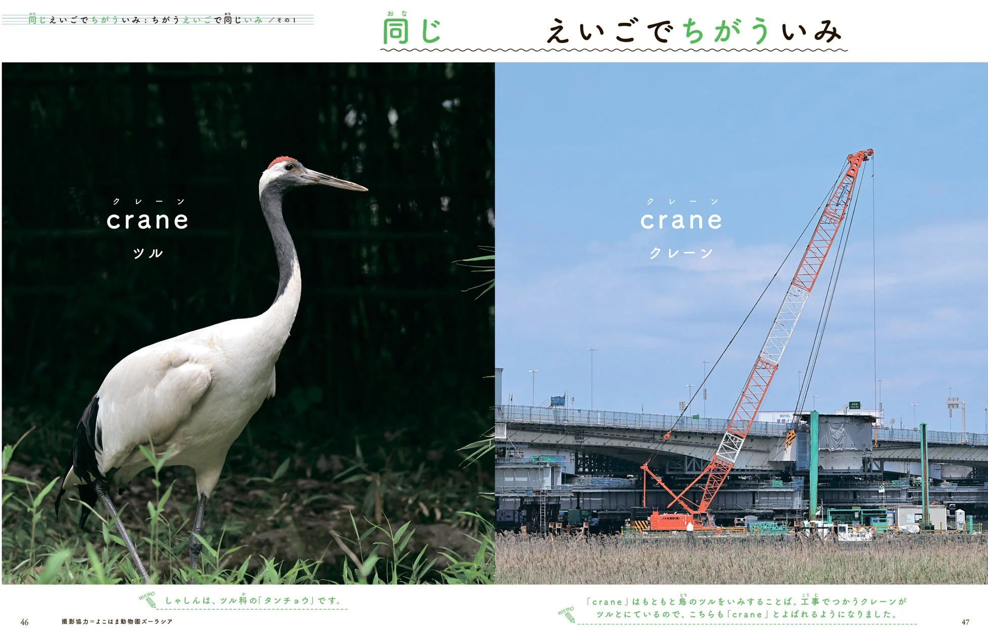 craneの多義語