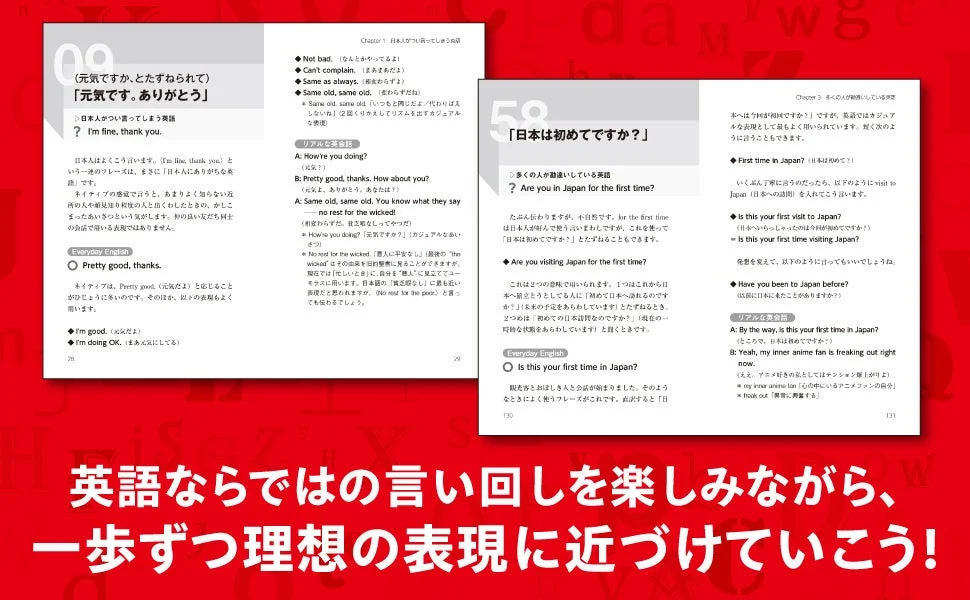 書籍のページの一部（詳細な解説）