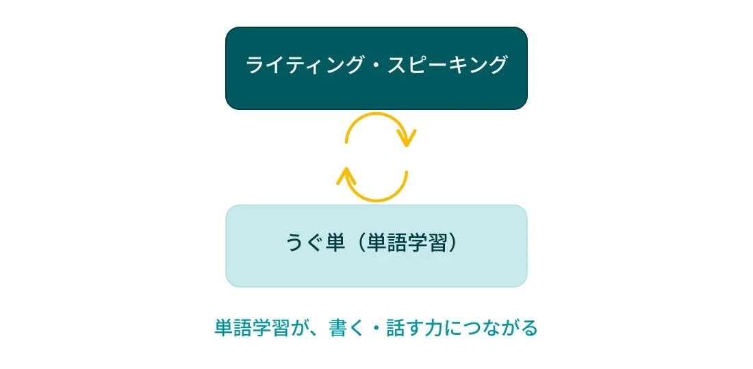 単語学習がライティングとスピーキングの能力向上につながることを示す図