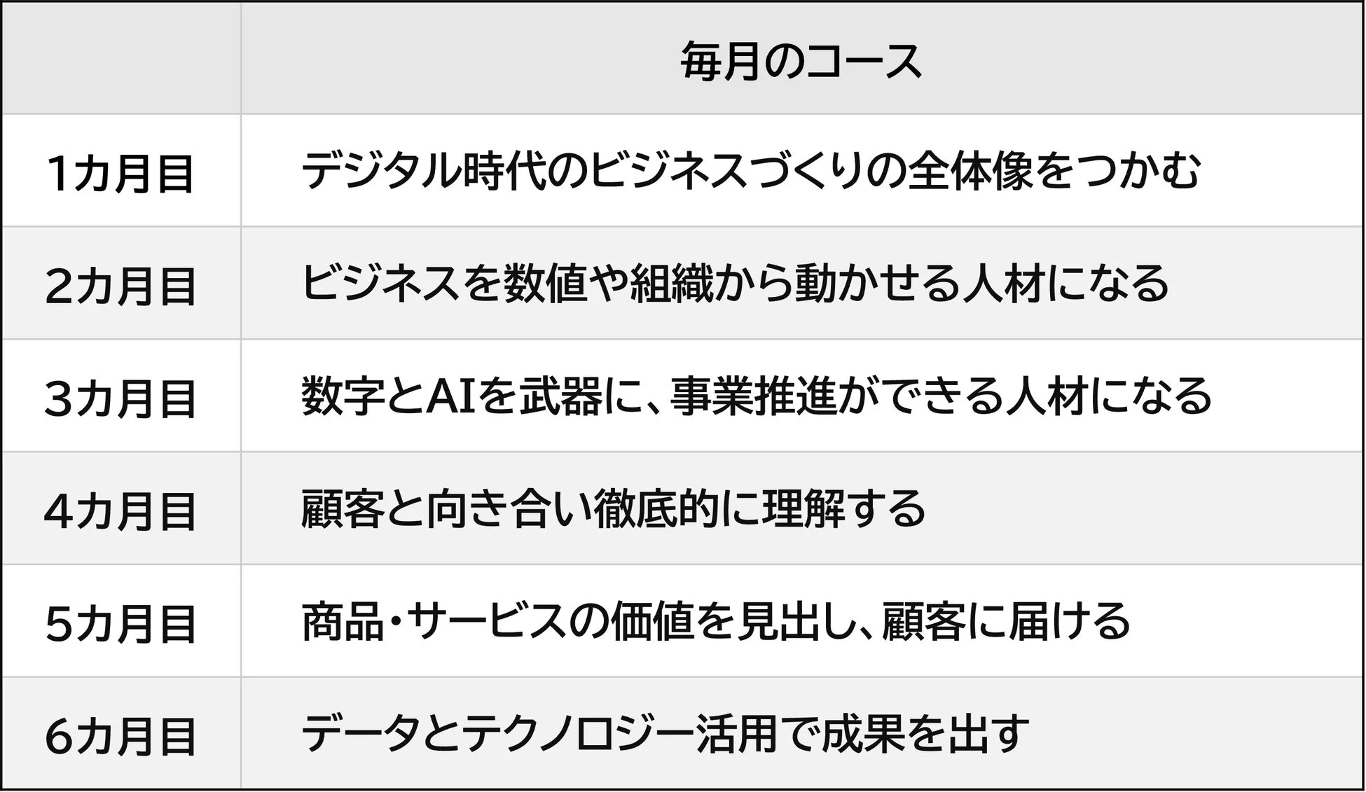 6ヶ月間のカリキュラム