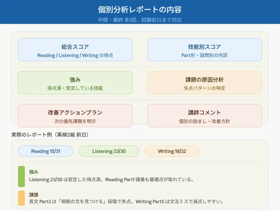 個別分析レポート