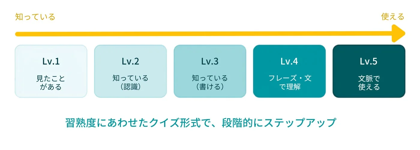 習熟度にあわせたクイズ形式で、段階的にステップアップ