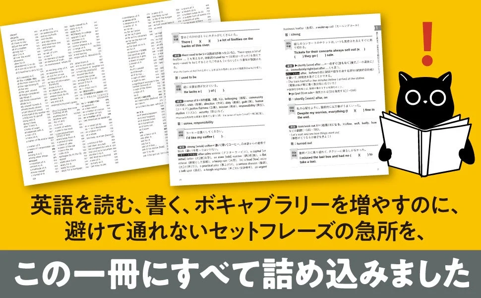 穴埋め問題の例と猫
