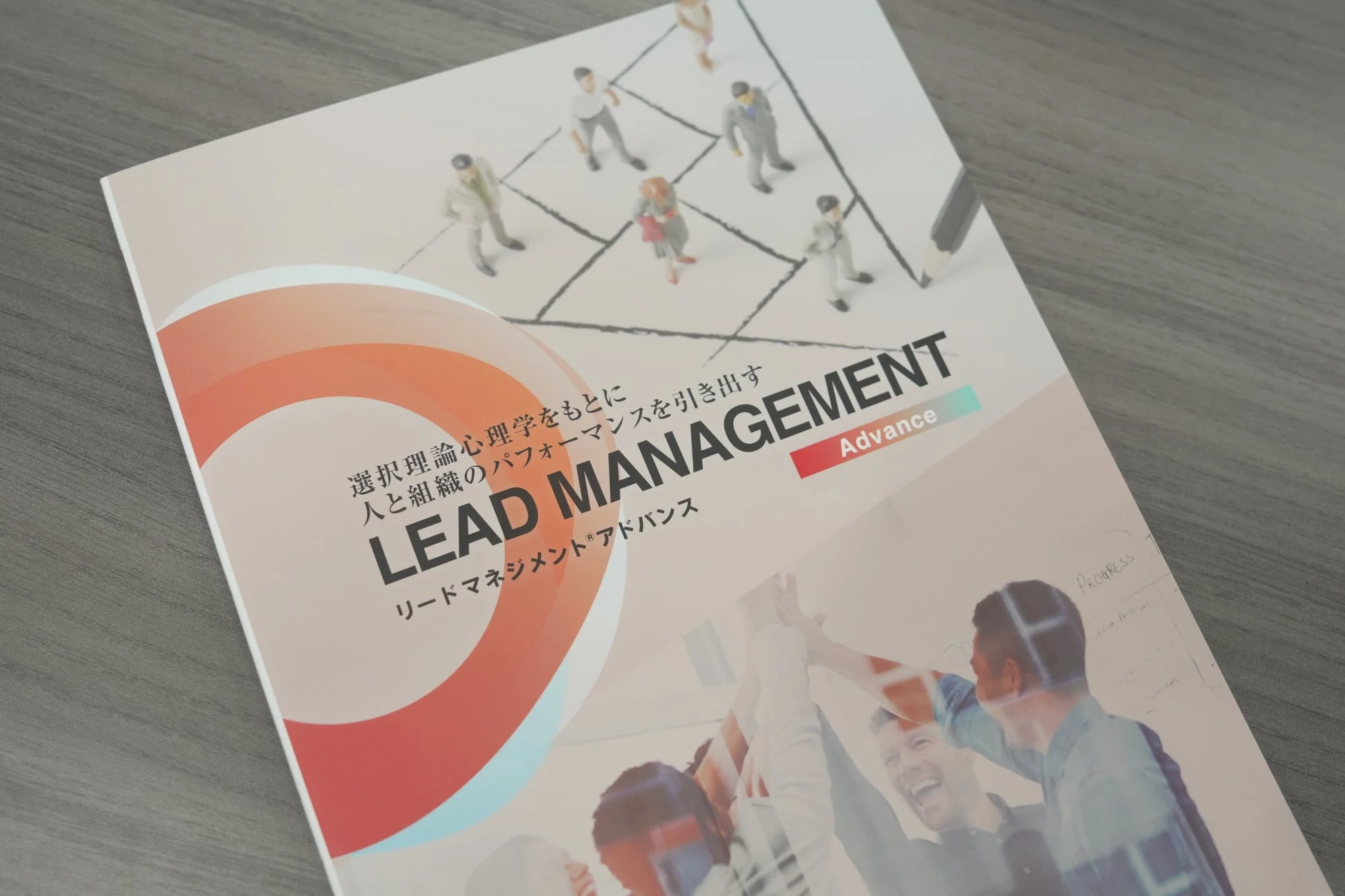 LEAD MANAGEMENT Advanceの書籍またはパンフレット